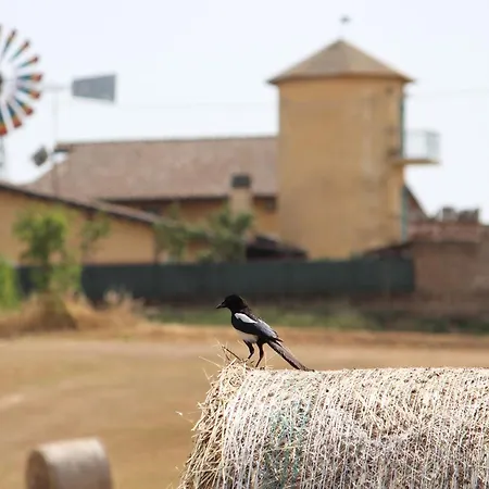Il Granaio Del Pavone Farm stay Nepi